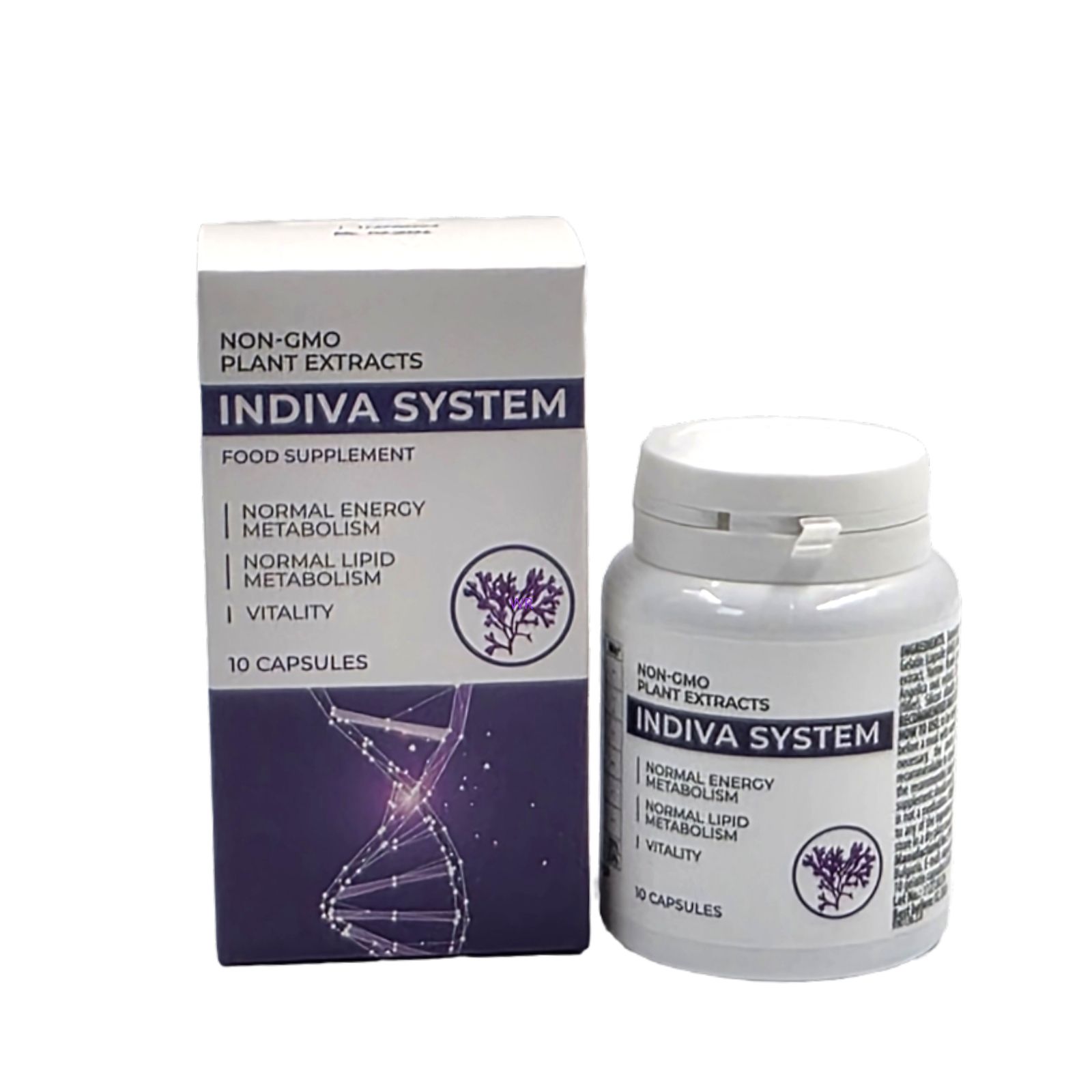 InDiva System